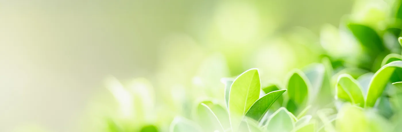 喀痰吸引トライアル研修