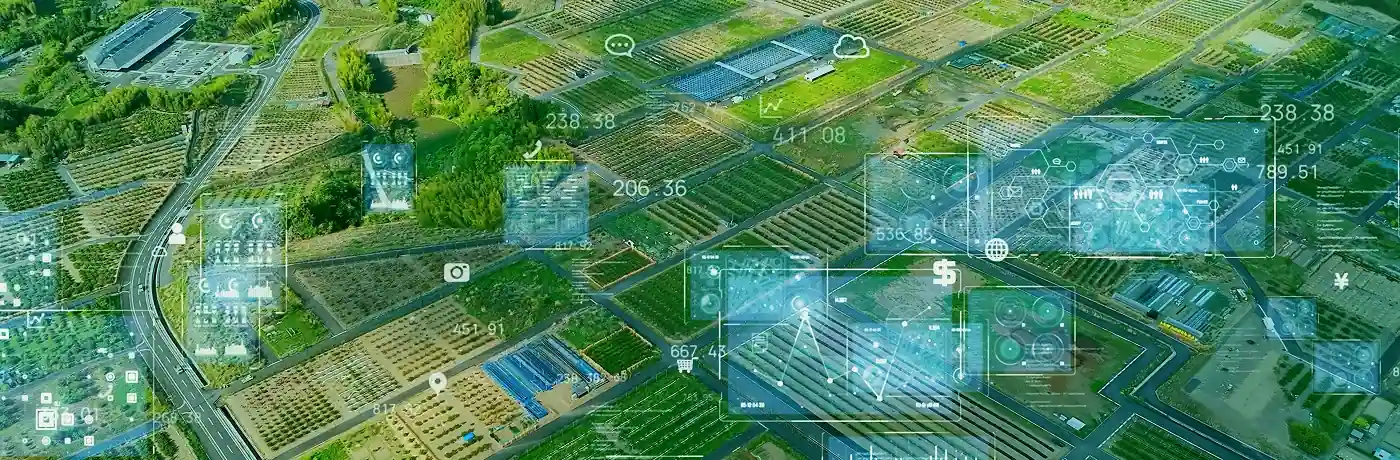 農業コンサルティングの基礎知識 〜農業者に対する経営改善アドバイス〜